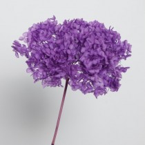 Droogbloemen boeket - Artemio