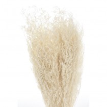 Droogbloemen boeket - Artemio