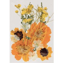 Geperste droogbloemen - Artemio