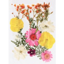 Geperste droogbloemen - Artemio