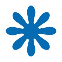 Pons bloem 2.5 cm - Artemio