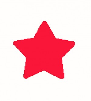 Pons ster - 1.6 cm - Artemio