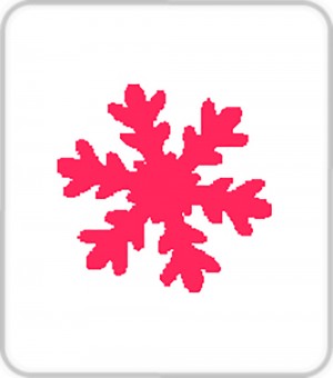 Pons sneeuwvlok - 1.6 cm - Artemio