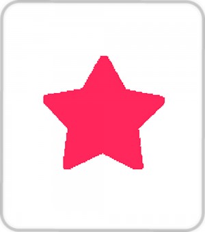 Pons ster - 2.5 cm - Artemio