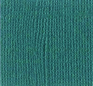 Textuur vel jade- 30x30 cm - Bazzill