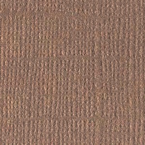 Textuur vel bark - 30x30 cm - Bazzill