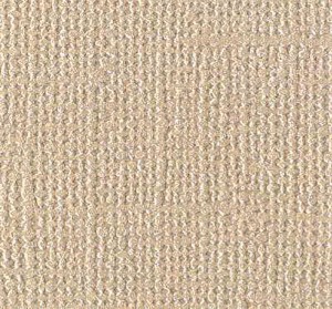 Vel glans effect blank check - 30x30 cm - Bazzill