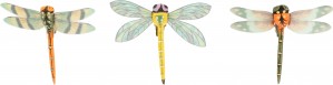 6 libellen op clip 6,5x6,5x1,5 cm - Artemio