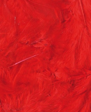 Plumes rouges 12 cm - Artemio
