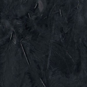 Plumes noires 12 cm - Artemio