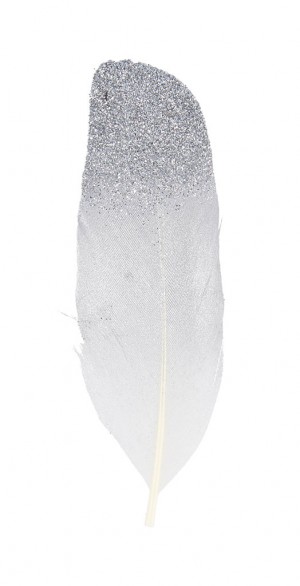 6 zilveren pluimen 11.5 cm - Artemio