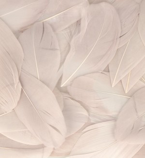 Plumes gris perle 6 cm - Artemio