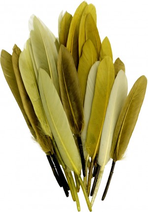 28 plumes colorées - Artemio