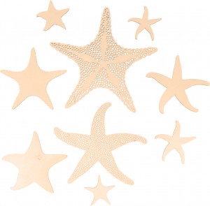 9 silhouettes étoiles de mer - Artemio