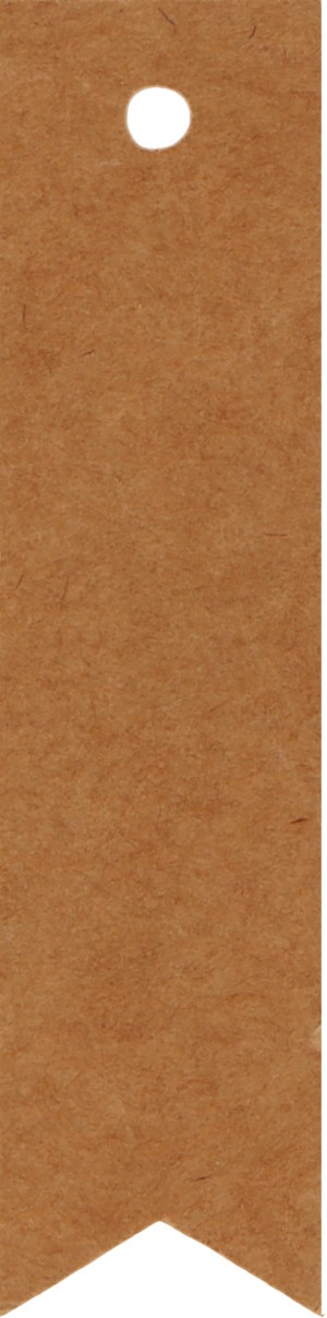 50 kraft etiketten 1,5x6 cm - Artemio