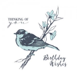 Layered clear stamps summer bird - Sizzix