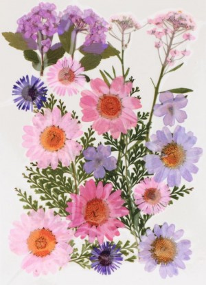 Geperste droogbloemen - Artemio