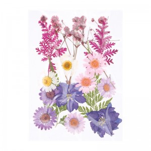 Geperste droogbloemen - Artemio