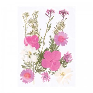 Geperste droogbloemen - Artemio