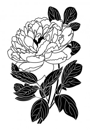 Stempel pioen 37x53 mm - hout - Artemio