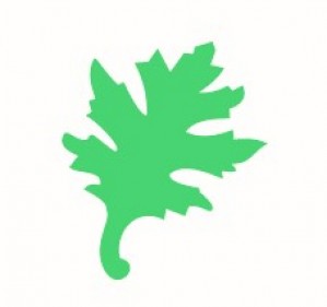 Pons blad 1.6 cm - Artemio