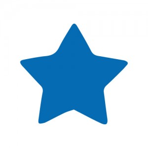 Pons ster 2.5 cm - Artemio