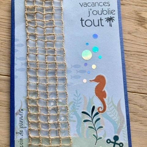 Carte et ochette en papier calque vellum holographique, Collection Deep sea Artemio