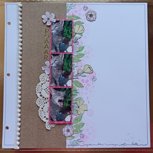 Créez une page scrap en utilisant les photos de votre chat!
