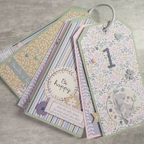 12 Cartes tags pour la 1 année de bébé!