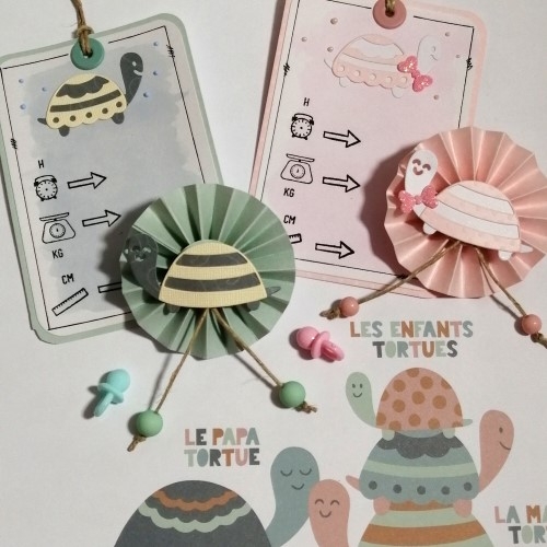 13 Cartes étapes naissance bébé décorées et personnalisée Lune et