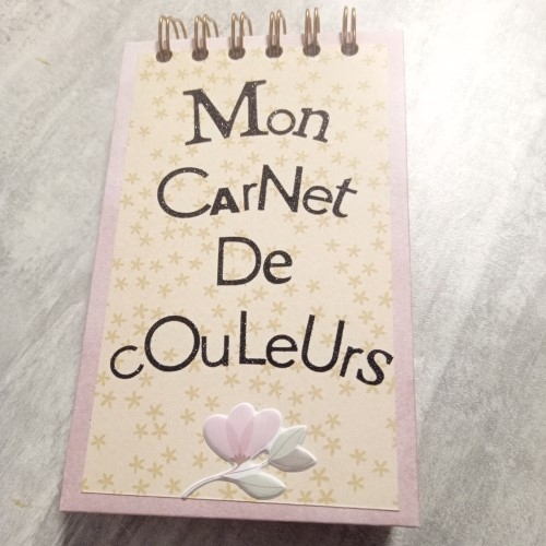 Un cazrnet répertoire pour les couleurs d'encres ou de papiers fait main.