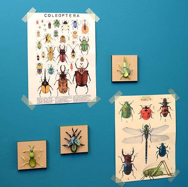 Fabriquer des insectes DIY