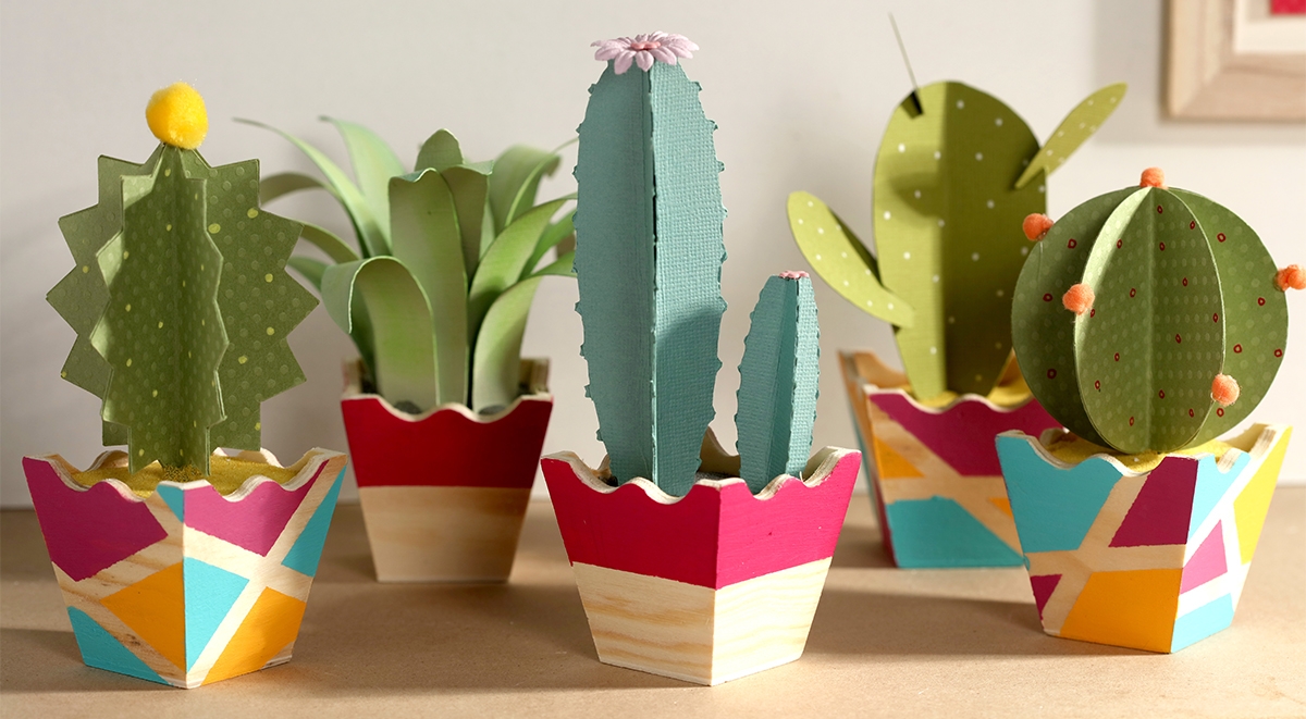 Cactus en papier