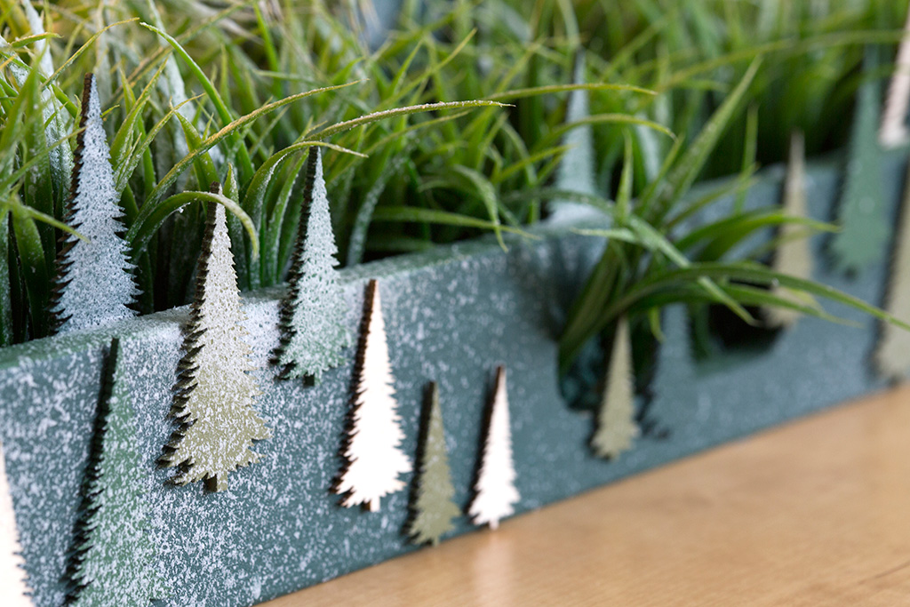 Déco de Noël - Plateau végétal