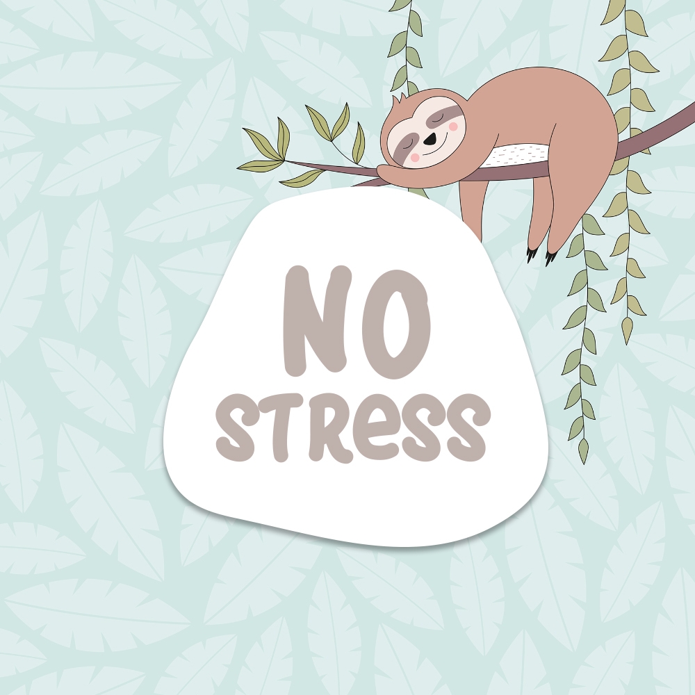 No Stress - Collection DIY Artemio