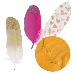 Plumes diverses